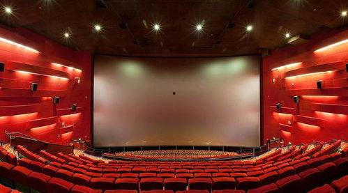 有家影院在线观看,有家影院在线观影新体验